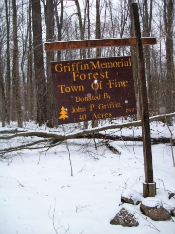 Griffin Memorial forest 3 14 2017 042 (2)